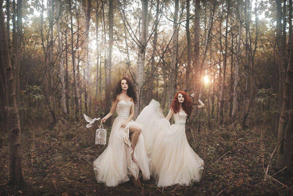 Harmony